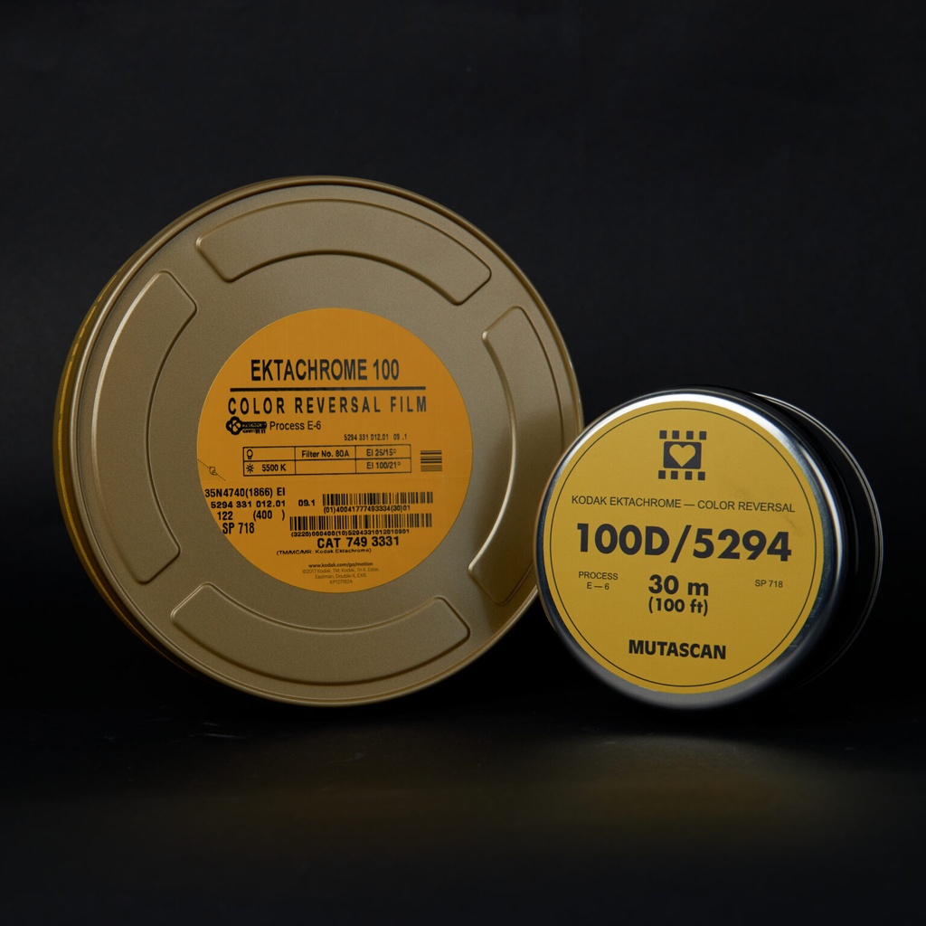 KODAK EKTACHROME 100D - 5294 - 35mm