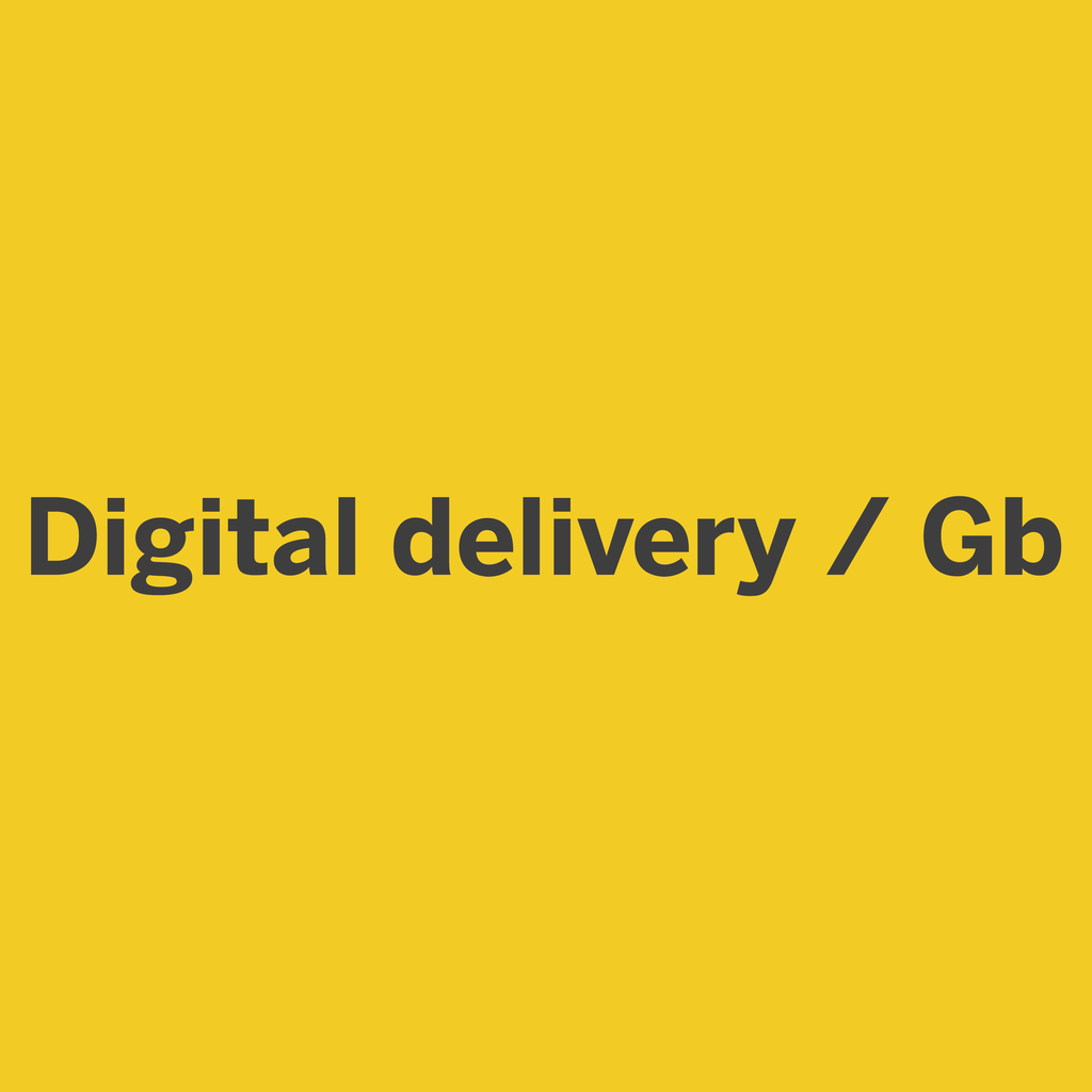 Digital Delivery / Gb